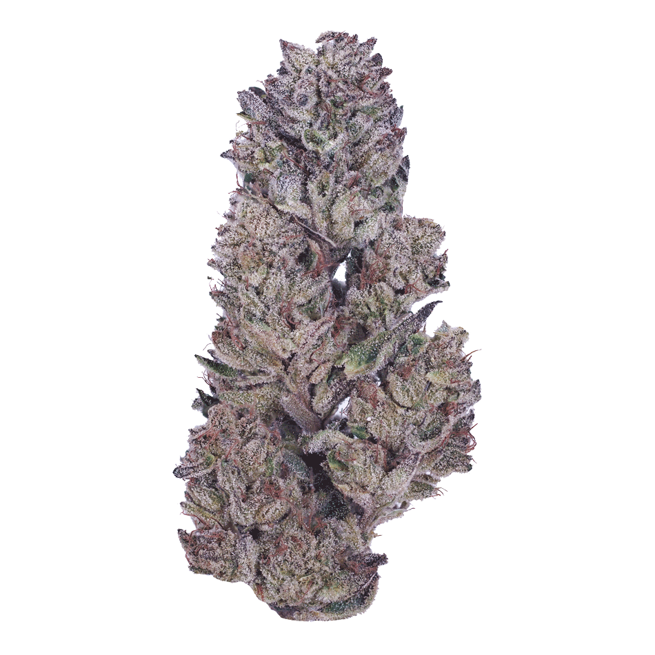 Apes in Space Strain | Weed Information | Devi Cannabis