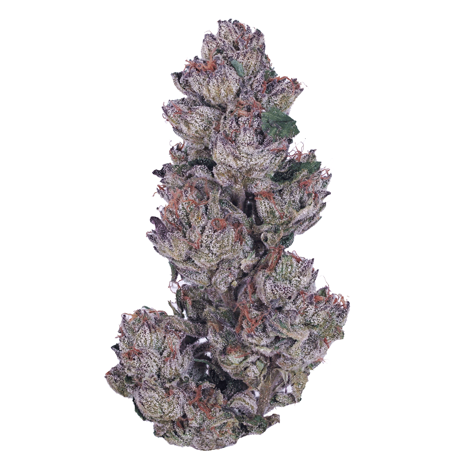 Apples and Bananas Strain Weed Information Devi Cannabis